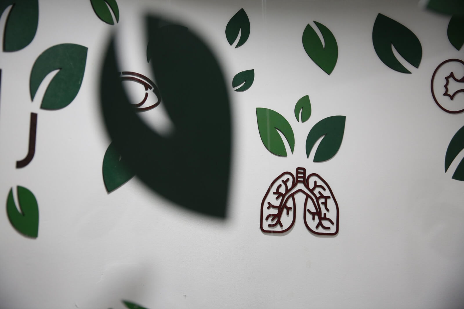 Árbol de la Vida – Mural